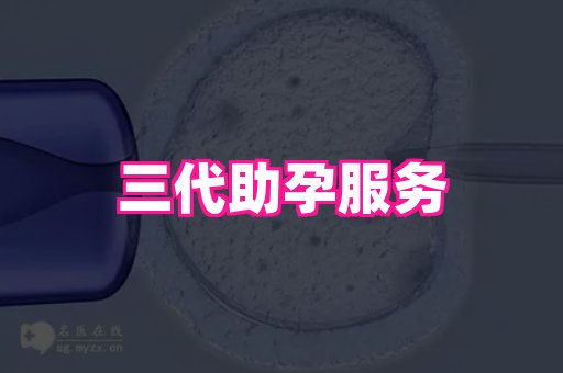 代孕妇展示图1